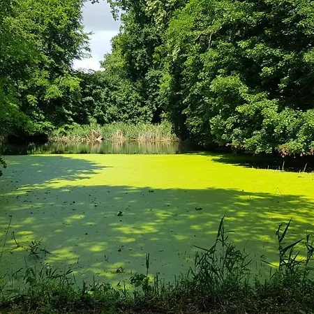 Schloss Frauenmark فندق 2*