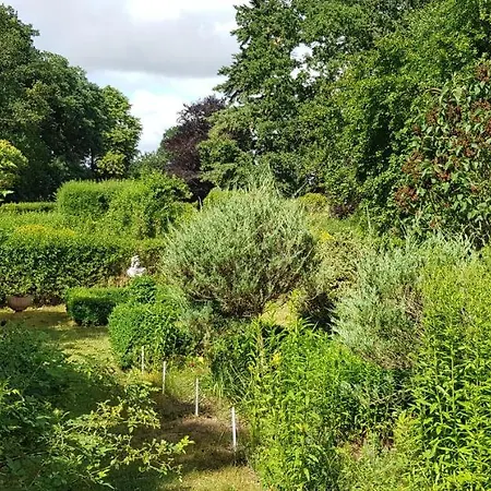 Schloss Frauenmark فندق 2*