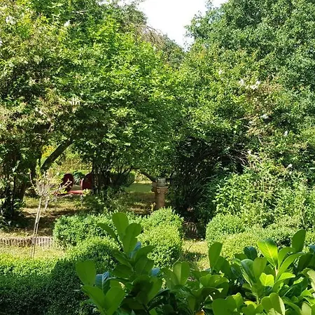 فندق Schloss Frauenmark 2*