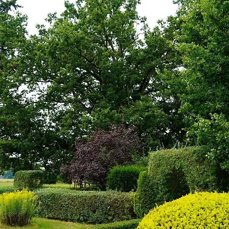 Schloss Frauenmark فندق Friedrichsruhe (Parchim)